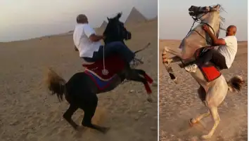 فرسان حُورَس .. قصة قصيرة بقلم: أحمد سراج