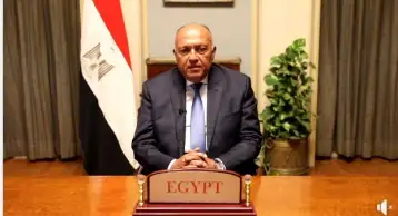 بالفيديو.. ننشر كلمة شكري خلال الجمعية المصرية البريطانية للأعمال بلندن