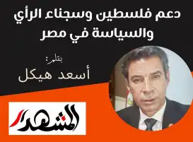 دعم فلسطين وسجناء الرأي والسياسة في مصر