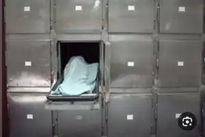 وفاة اللواء عصام الدين عبدالله مدير أمن الوادى الجديد فى حادث بالمنيا