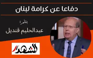 دفاعا عن كرامة لبنان