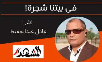 فى بيتنا شجرة!