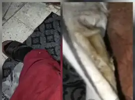 عامان من المعاناة في القصر العيني.. مريض بالبدرشين ينزف دون استجابة