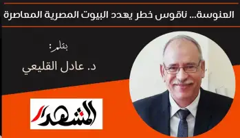 العنوسة... ناقوس خطر يهدد البيوت المصرية المعاصرة