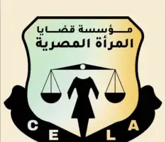"قضايا المرأة " تقيم ورشة عمل للعاملين بلجان حماية الطفل بالإسكندرية