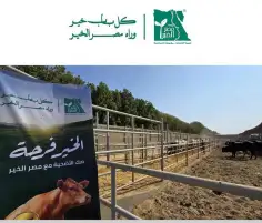 مصر الخير: نجحنا في نشر فرحة عيد الأضحى لأكثر من مليونين و150 ألف مستفيد