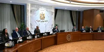 مجلس الوزراء: صادرات مصر الغذائية ترتفع إلى 2.4 مليار دولار في 4 أشهر
