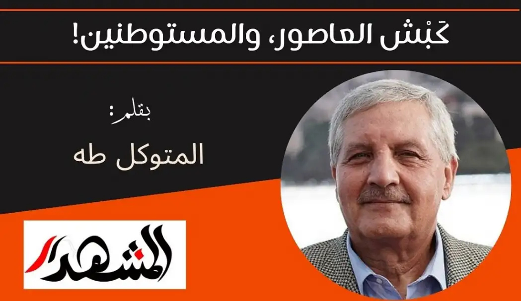 كَبْش العاصور، والمستوطنين!