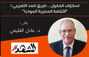 استنزاف العقول .. طريق للمد التغريبي.! "الثقافة المصرية أنموذجا"