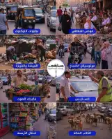 الاستثمار في الانضباط دراسة أمنية واقتصادية لمنظومة الرقابة الرقمية والدوريات المتجولة