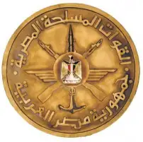 وزير الدفاع ينيب قادة الجيوش الميدانية والمناطق العسكرية لوضع أكاليل الزهور على قبر الجندى المجهول